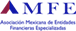 AMFE